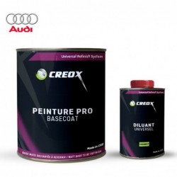 Kit peinture Audi avec diluant
