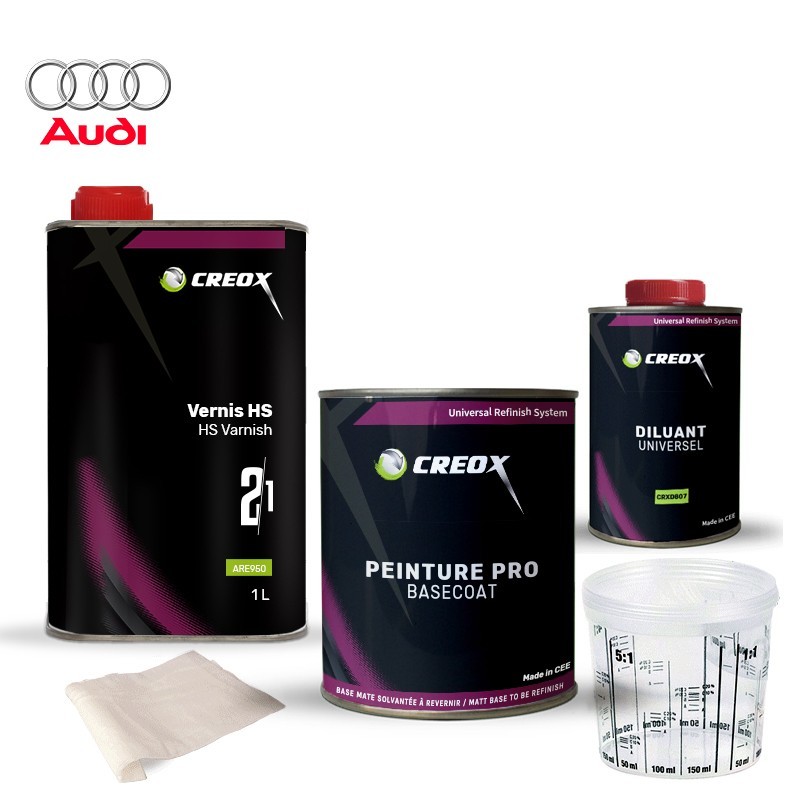 Kit peinture Audi avec vernis