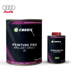 Kit peinture brillant direct Audi