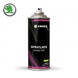 Bombe de peinture Skoda