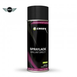 Bombe de peinture brillant direct Mini