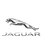 Peinture voiture Jaguar - Peintures-autos-motso.fr