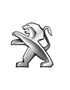 Peinture voiture Peugeot - Peintures-autos-motso.fr